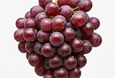 Resveratrol